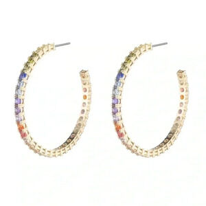 NWT Dannijo Gemaeux Multi Earrings